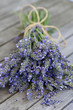 Lavender bound