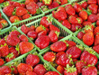 Strawberries for Sale at Farmers Market