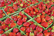 Strawberries for Sale