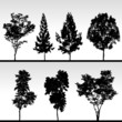 Tree Silhouette Vector
