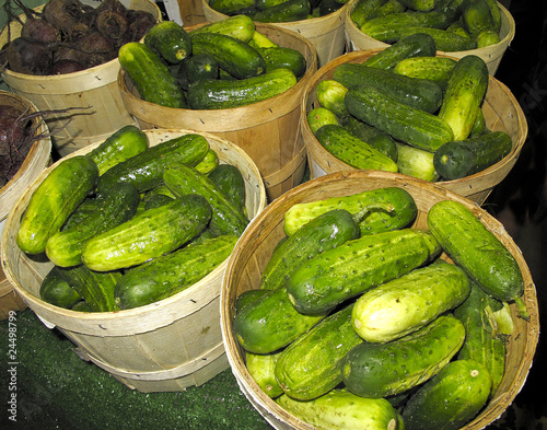 Photo: Pickling Cucumbers at Farmers Market Pickling Cucumbers at Farmers Market