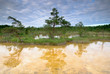 Calcareous springs in Ragana mire
