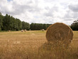 Making Hay