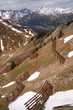 Walmendinger Horn