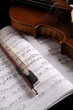 Beautiful old violin