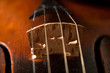 Beautiful old violin
