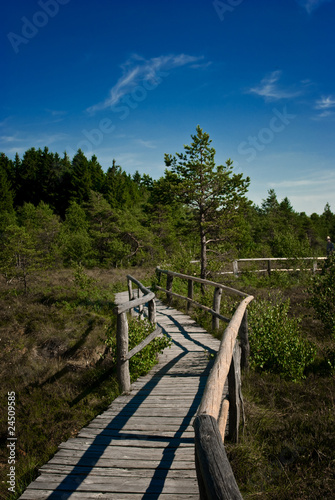 Foto: Rhön (Schwarzes Moor) Rhön (Schwarzes Moor)