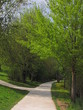 Cathédrale Saint-Etienne ; Limoges, Haute-Vienne, Limousin