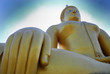 Buddha statue