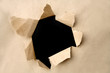 Ripped brown paper