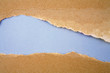 Ripped brown paper