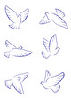 White doves