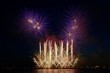 Fireworks - Purple blossoms