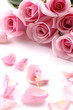 Border of multiple pink roses