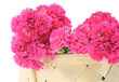 basket with roses close-up