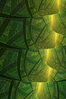 Green abstract background