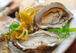 Oysters in a plate with ice Oysters in a plate with ice