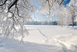 Дней в топе: 1 Дней в топе: 1