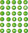 Boutons web vert