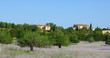 Fincas auf Mallorca