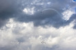 Dramatic Acrobatic Display  Airshow 2010