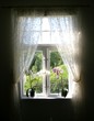 Summer window