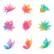 Pastel nature. Elements for design. Vector illustration.