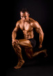 Bodybuilder. Bodybuilder.