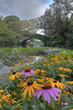 Central Park at the pond Central Park at the pond