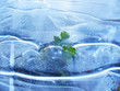 Green sheet of a plant in blue ice.