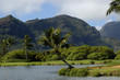 Exotic Golf Course