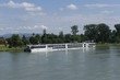 rives du rhin à strasbourg
