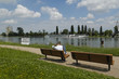 rives du rhin à strasbourg