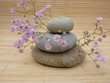 Foto: galets et gypsophille galets et gypsophille
