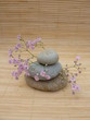 Foto: gypsophile et galets gypsophile et galets