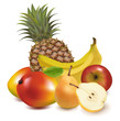 Photo-realistic vector. Big group of exotic fruit.