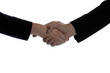 Business handshake