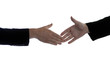 Business handshake