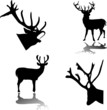 deer silhouette