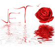 Je t'(rose)