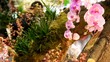 Orchids at an exhibition #6 Orchids at an exhibition #6
