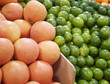 Oranges and Lemons in grocery store