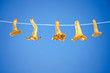 Chanterelle mushrooms