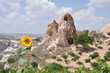 Red Rose Valley Cappadocia with Sunflower 41 Red Rose Valley Cappadocia with Sunflower 41
