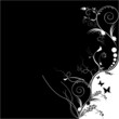 volutes noir