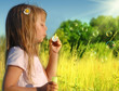Summer dream