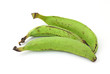 Three Plantain Bananas
