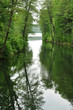 Am Werbellinsee