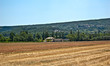 Champs de Provence en France