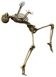 skeleton why me